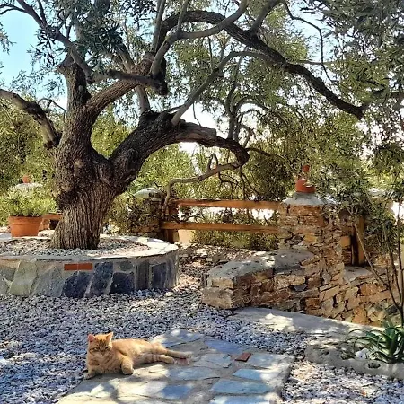 Tatil Evi Aspra Chomata