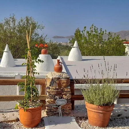 Tatil Evi Aspra Chomata Karystos (Evia)