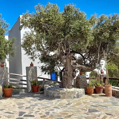 Aspra Chomata Holiday home *