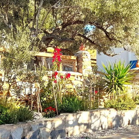 Aspra Chomata Holiday home Karystos (Evia)